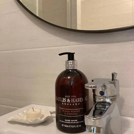 Utulny A Moderny Atelier S Terasou 아파트 브라티슬라바